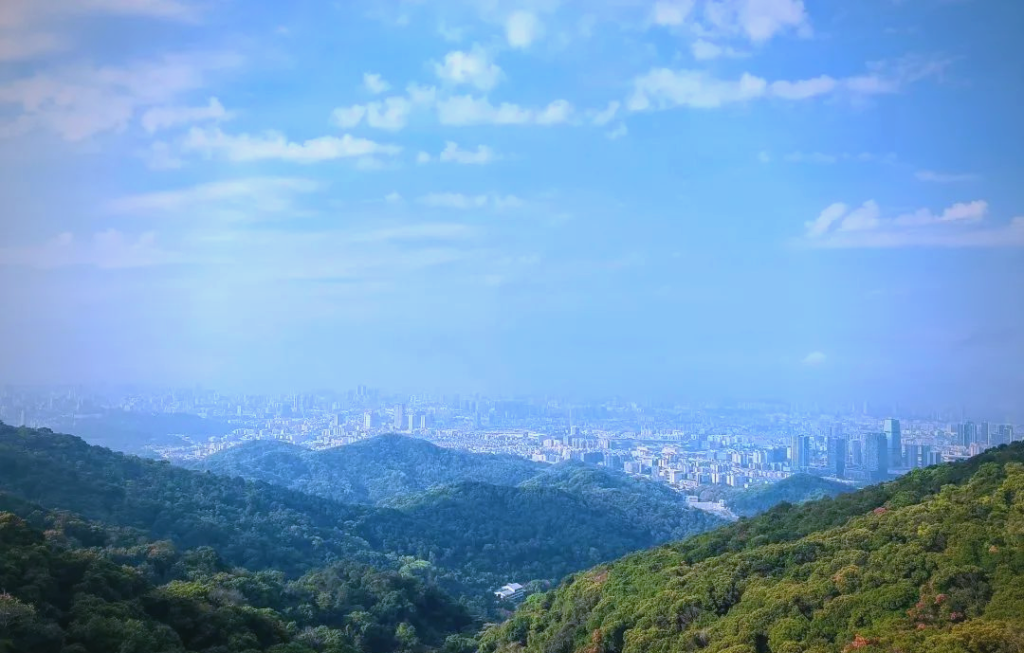广州游避坑:90% 人踩雷的 6 个地方,本地人私藏玩法曝光(第一次来必看)插图4 广州游避坑:90% 人踩雷的 6 个地方,本地人私藏玩法曝光(第一次来必看)插图4