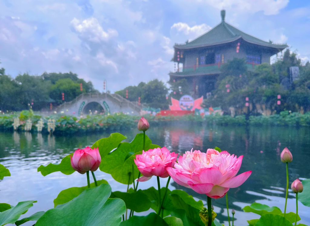 2025 暑期限定!番禺宝墨园清凉派对 + 十万锦鲤互动,承包你的夏日乐趣插图10 2025 暑期限定!番禺宝墨园清凉派对 + 十万锦鲤互动,承包你的夏日乐趣插图10